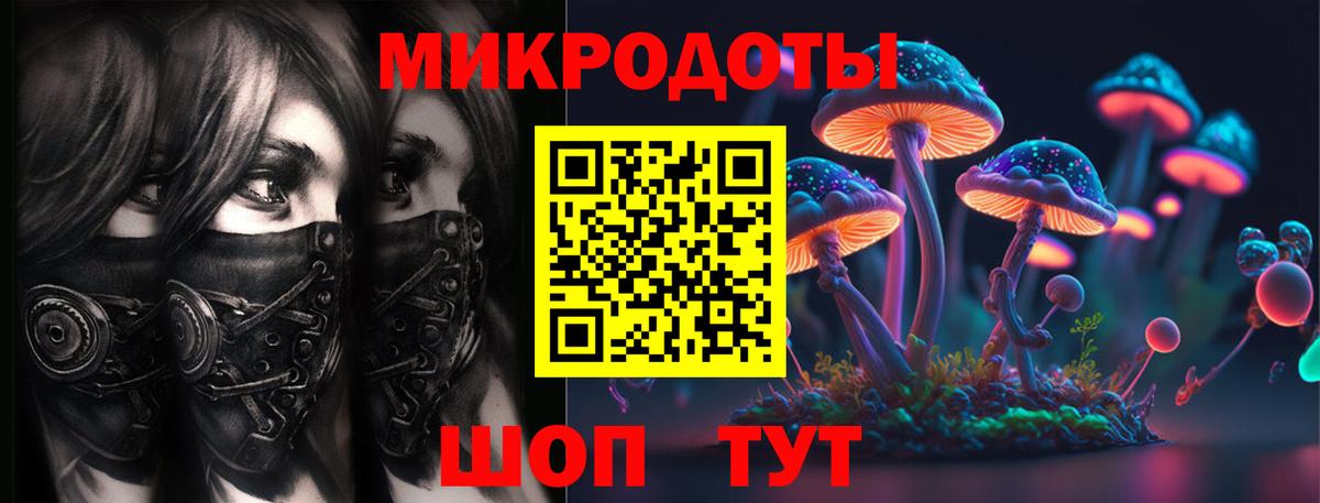 Псилоцибиновые грибы Psilocybine cubensis Комсомольск-на-Амуре